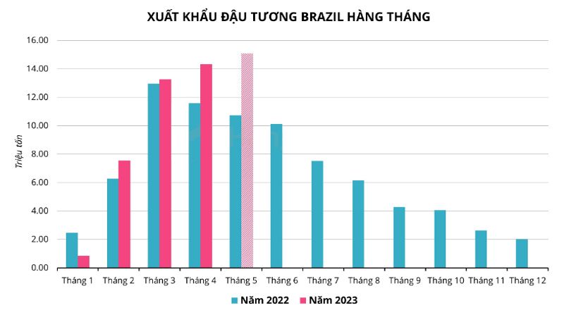 Xuất khẩu Đậu tương Brazil hàng tháng