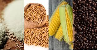 Giá đậu tương tiếp tục giảm mạnh