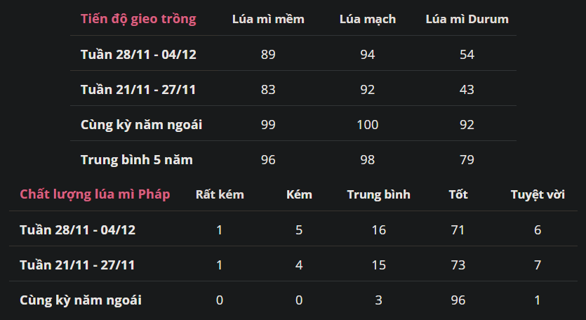 Hoạt động trồng lúa mì năm nay ở Pháp vẫn bị trì hoãn do mưa lớn