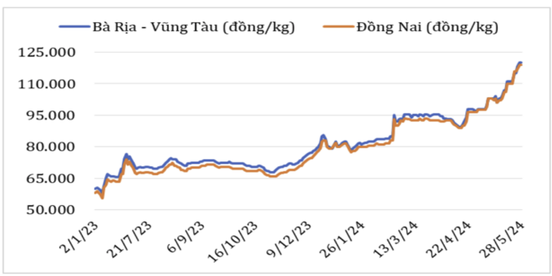 &nbsp;Diễn biến giá hạt tiêu đen tại thị trường nội địa năm 2023 – 2024&nbsp;