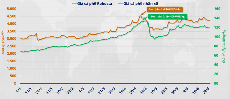Diễn biến giá cà phê Robusta thế giới và nhân xô tại Việt Nam