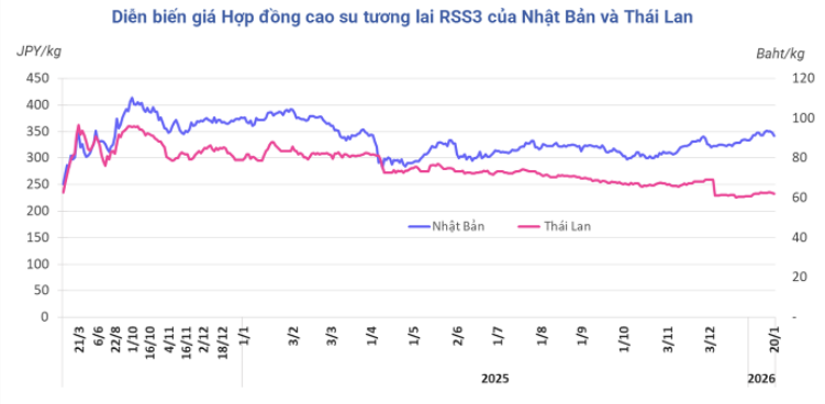 Diễn biến giá cao su kỳ hạn tại Thái Lan và Nhật Bản