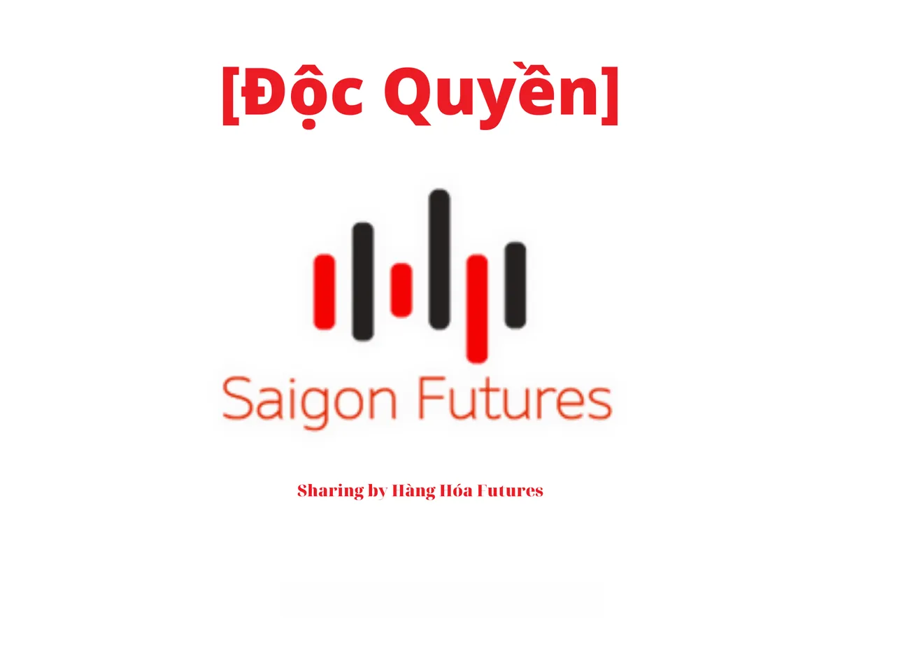 [Độc quyền] - Saigon Futures - View Cơ bản Đầu tuần 48 (Từ 28/11-02/12/2022)