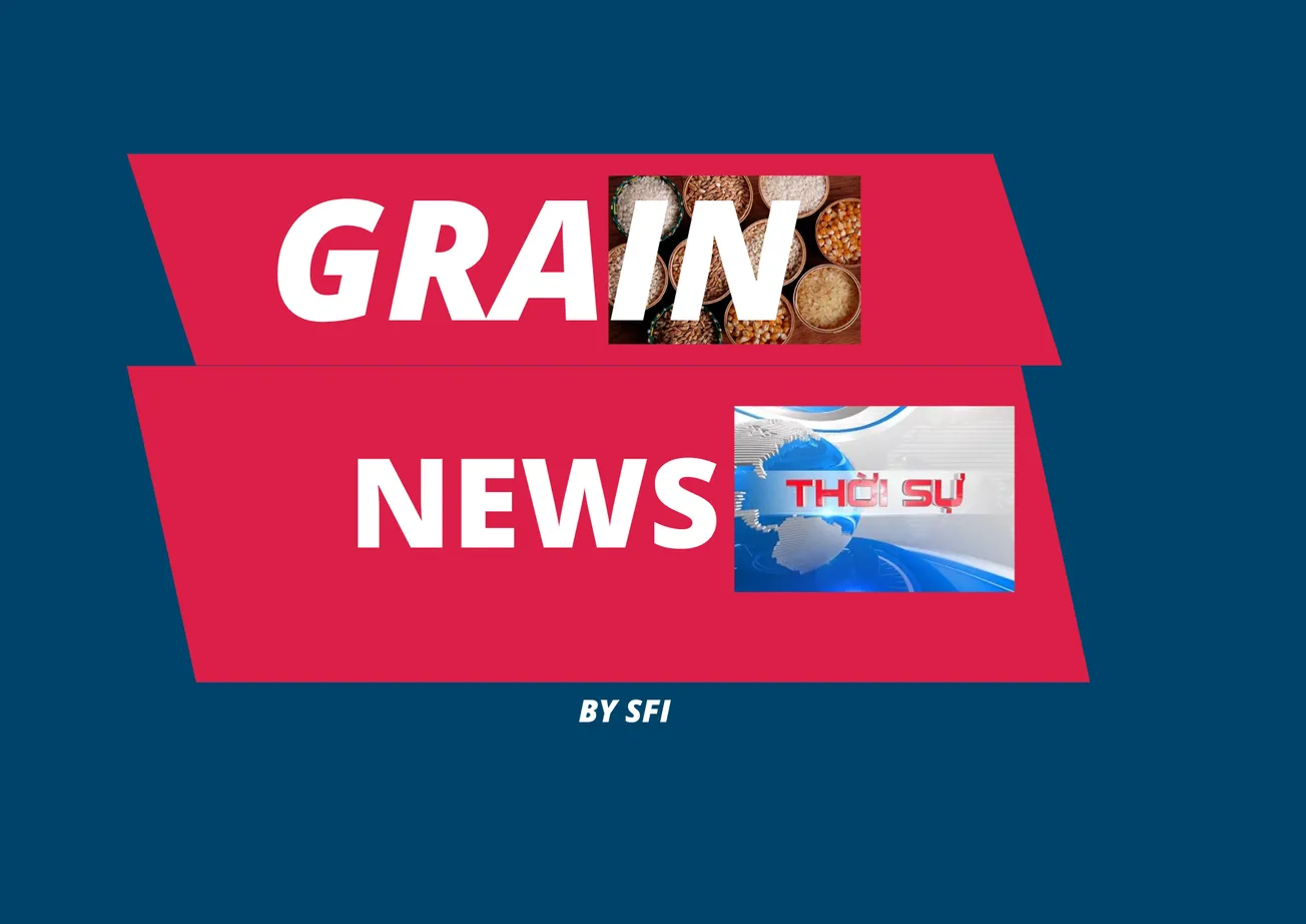 [GRAIN] - Báo cáo tiến độ cây trồng từ USDA (tính đến ngày 20.11.2022)