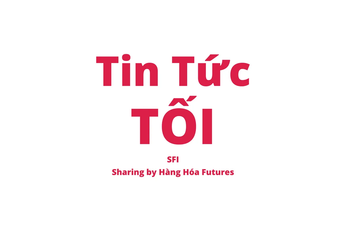 [Tin tức Tối] - Ngày 06.12.2022
