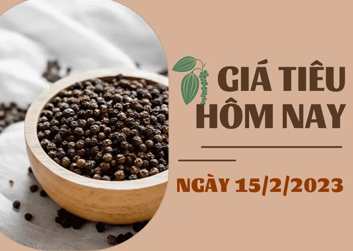 Giá Tiêu và Cao su hôm nay 15/2: Biến động nhẹ, cao su TOCOM tăng dưới 0,5%
