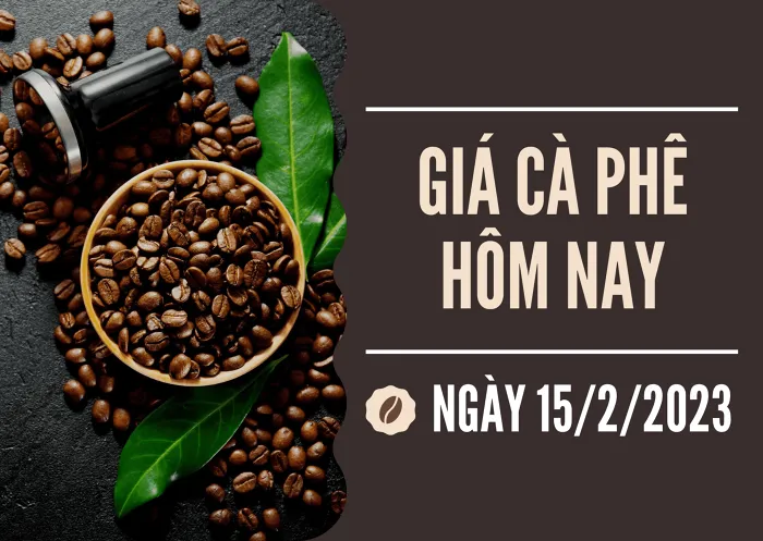 Giá cà phê hôm nay 15/2: Tăng 500 đồng/kg, cận mức 45.000 đồng/kg