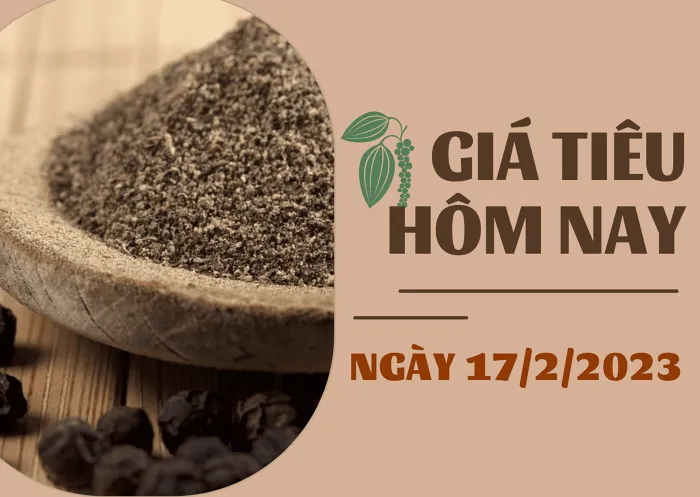 Giá tiêu  và cao su hôm nay 17/2: Tăng mạnh 1.500 đồng/kg, cao su kỳ hạn tiếp tục giảm