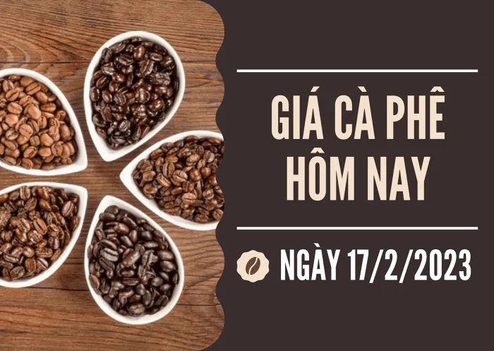 Giá cà phê hôm nay 17/2: Arabica kỳ hạn tăng gần 2%