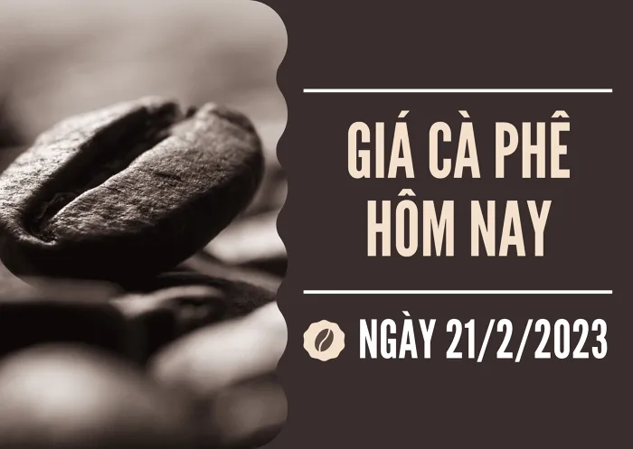 Giá cà phê hôm nay 21/2: Dứt đà tăng, quay đầu giảm 300 đồng/kg