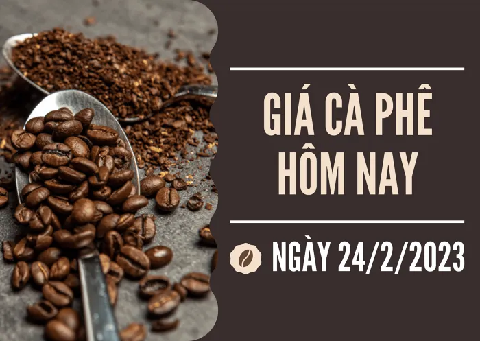 Giá cà phê hôm nay 24/2: Robusta kỳ hạn giảm 2%, trong nước giảm 500 đồng/kg