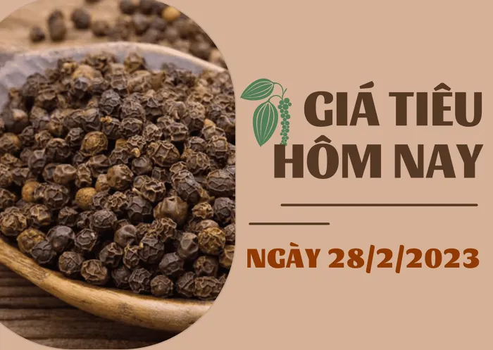 Giá Tiêu và Cao su hôm nay 28/2: Duy trì đi ngang, cao su biến động nhẹ dưới 0,5%