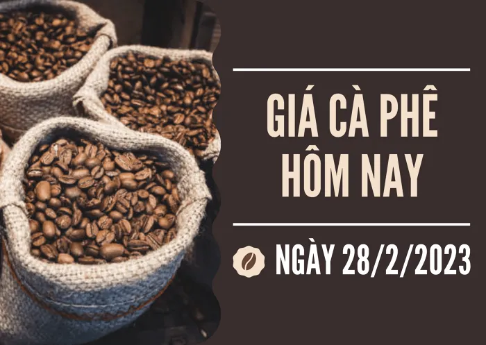 Giá cà phê hôm nay 28/2: Robusta và arabica kỳ hạn giảm nhẹ dưới 1%
