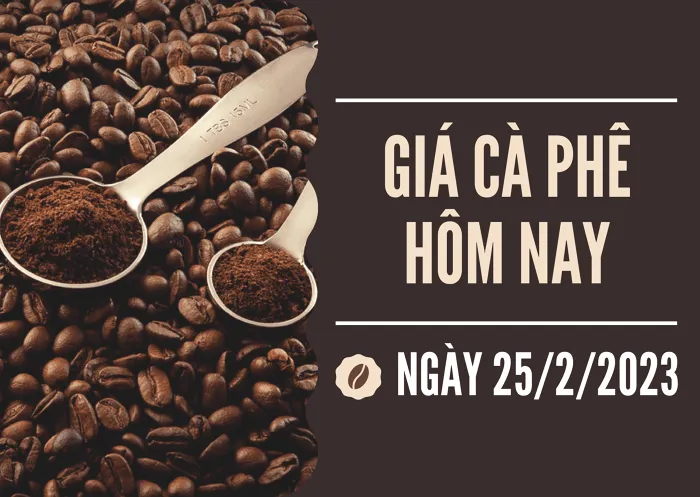 Giá cà phê hôm nay 25/2: Giảm 200 đồng/kg tại khu vực Tây Nguyên