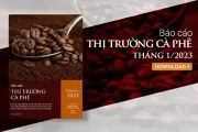 [Báo cáo] Thị trường cà phê tháng 1/2023: Giá cà phê nội địa tăng mạnh trong tháng đầu năm dù xuất khẩu giảm sâu