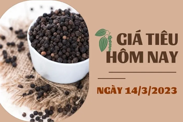 Giá Tiêu và Cao su 14/3: Nối dài đà đi ngang, cao su biến động dưới 2%