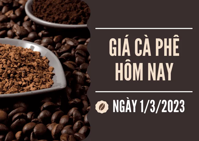 Giá cà phê hôm nay 1/3: Tăng 100 đồng/kg tại các tỉnh trọng điểm