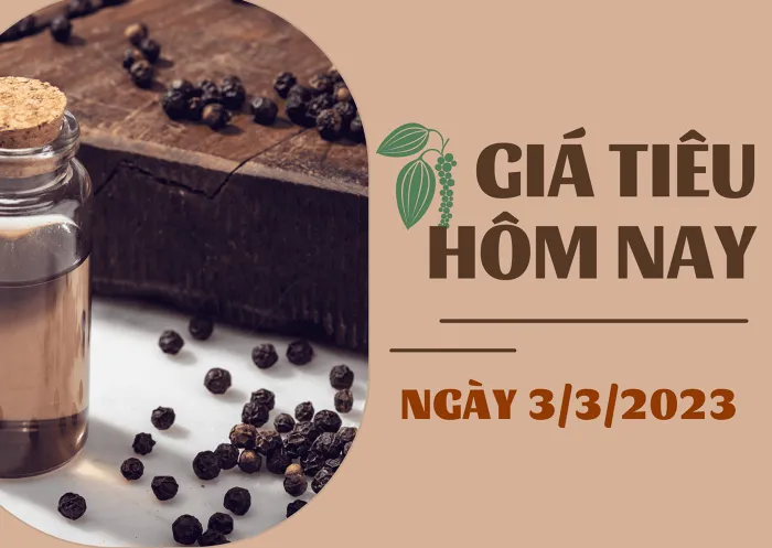 Giá Tiêu và Cao su hôm nay 3/3: Nối dài đà đi xuống, cao su giảm dưới 0,5%