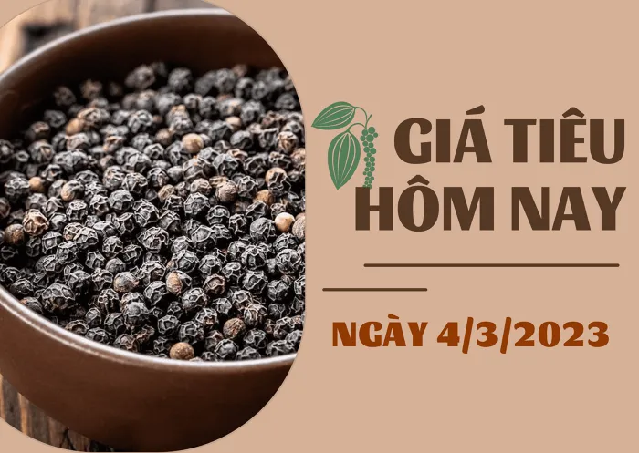 Giá Tiêu và Cao su hôm nay 4/3: Mất mốc 65.000 đồng/kg, cao su tiếp tục giảm