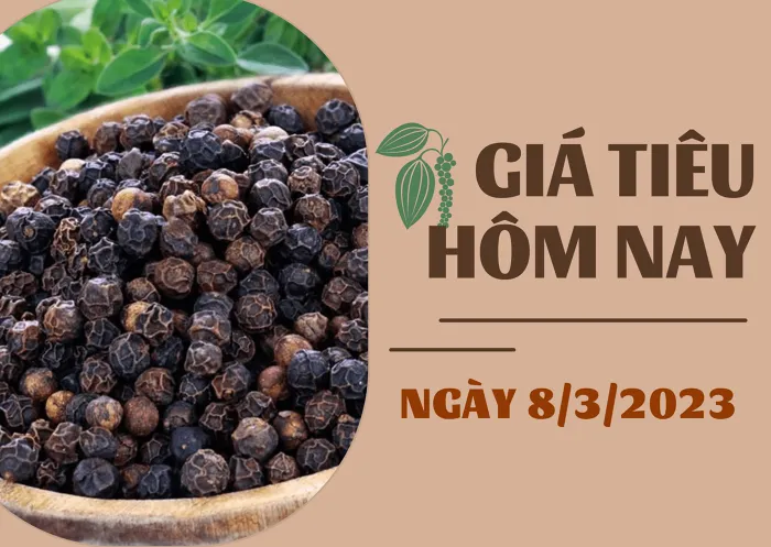 Giá Tiêu và Cao su hôm nay 8/3: Thị trường đi ngang, cao su tăng nhẹ dưới 1%