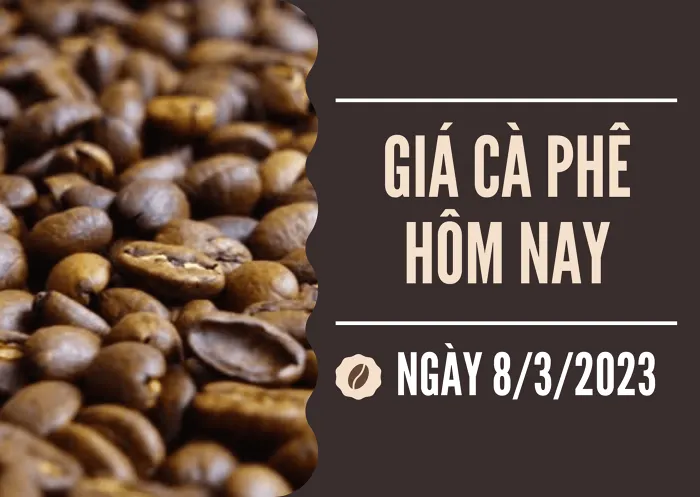 Giá cà phê hôm nay 8/3: Arabica kỳ hạn tăng hơn 1%