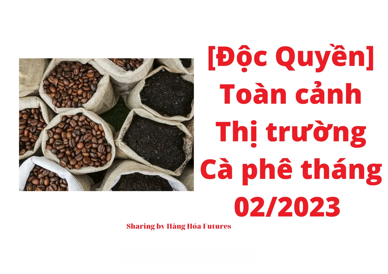 [Độc quyền] - Toàn cảnh thị trường Cà phê tháng 02/2023: Giá Cà phê Robusta trong tháng 02/2023 tăng mạnh so với tháng 01, đạt mức cao nhất trong 04 tháng nhờ Dự báo Tồn kho Liên tiếp giảm và Hỗ trợ yếu từ yếu tố Tiền tệ.