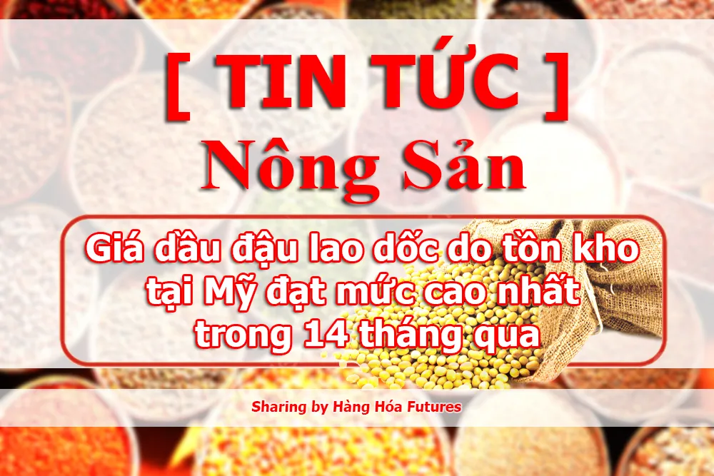 Giá dầu đậu lao dốc do tồn kho tại Mỹ đạt mức cao nhất trong 14 tháng qua