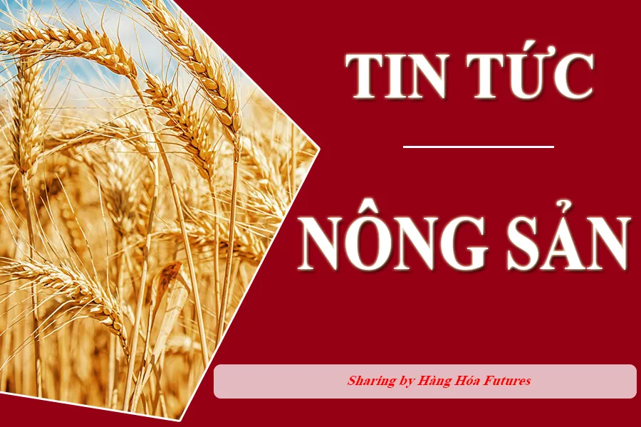 Thị trường ngô diễn biến giằng co trong phiên giao dịch cuối tuần