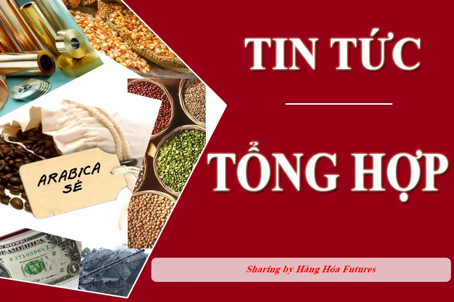 Hai mặt hàng cà phê diễn biến ảm đạm, dầu cọ giảm mạnh trong phiên đầu tuần