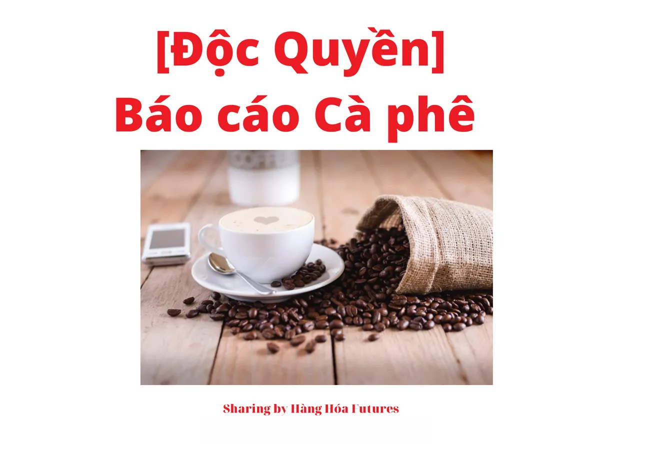 [Độc quyền] - Báo cáo thị trường Cà phê ngày 08.06.2023