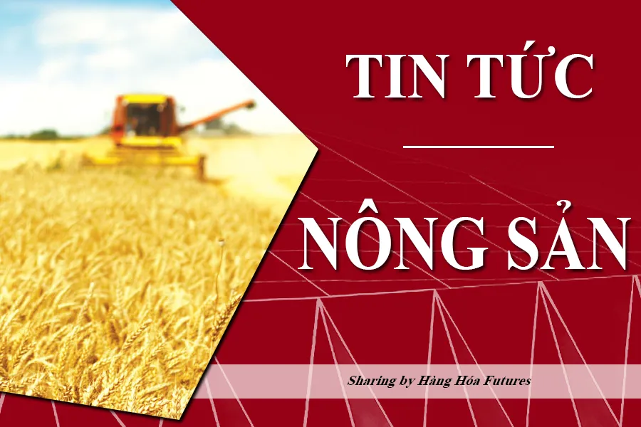 Hàng Hóa Futures , HHF team , Tin tức Nông sản , Đậu tương , Ngô , Lúa Mì