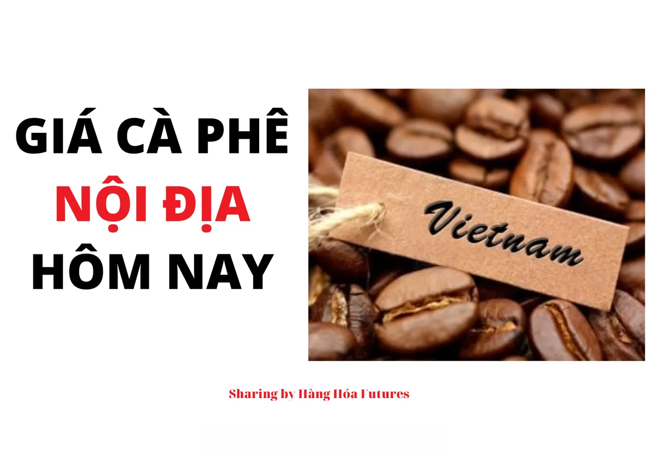 Giá Cà phê Nội địa ngày 20/09/2023