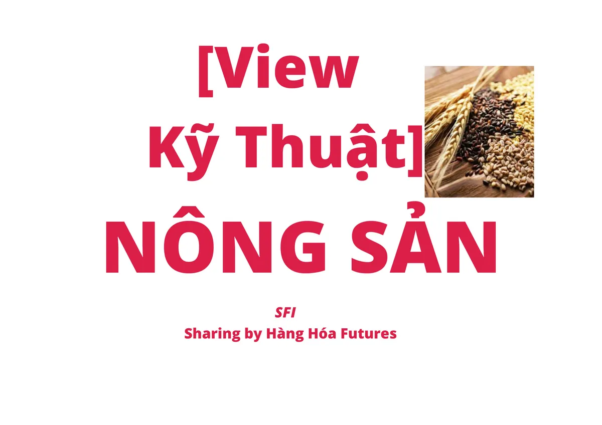 [View Kỹ thuật] - Nông sản - Ngày 14.09.2023