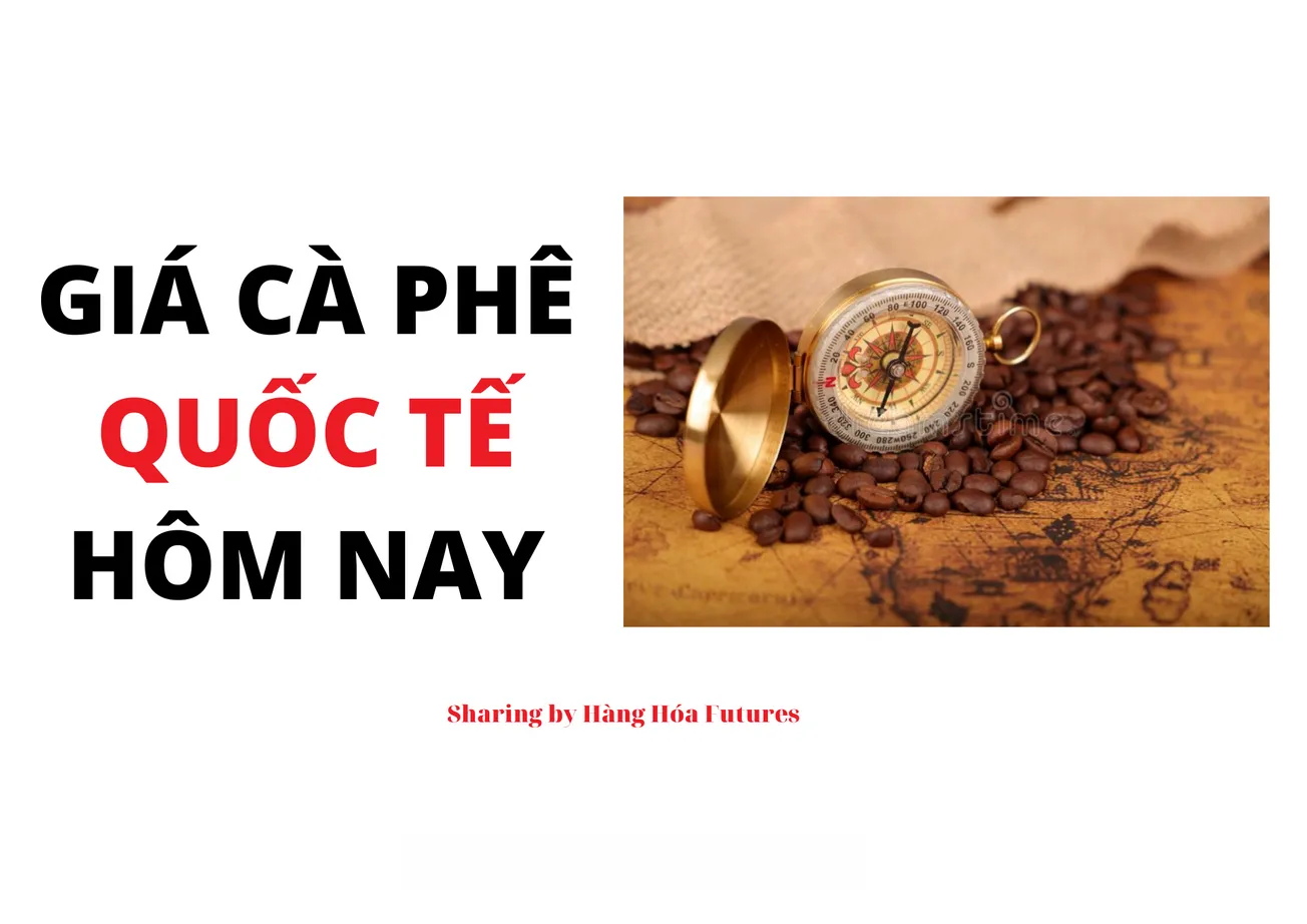 Giá Cà phê Quốc tế ngày 29/11/2023