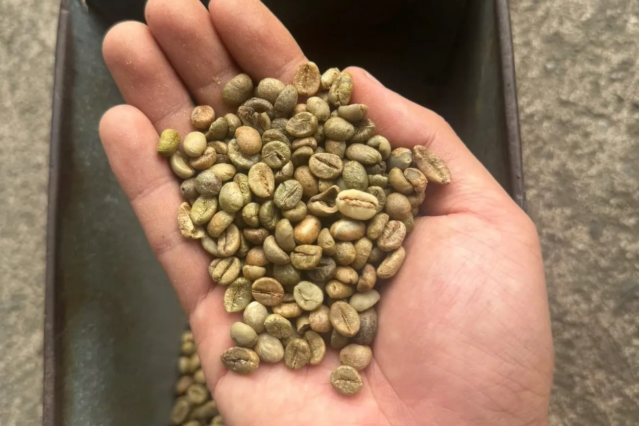 [Thị trường: Cà phê - Đường - Ca cao]