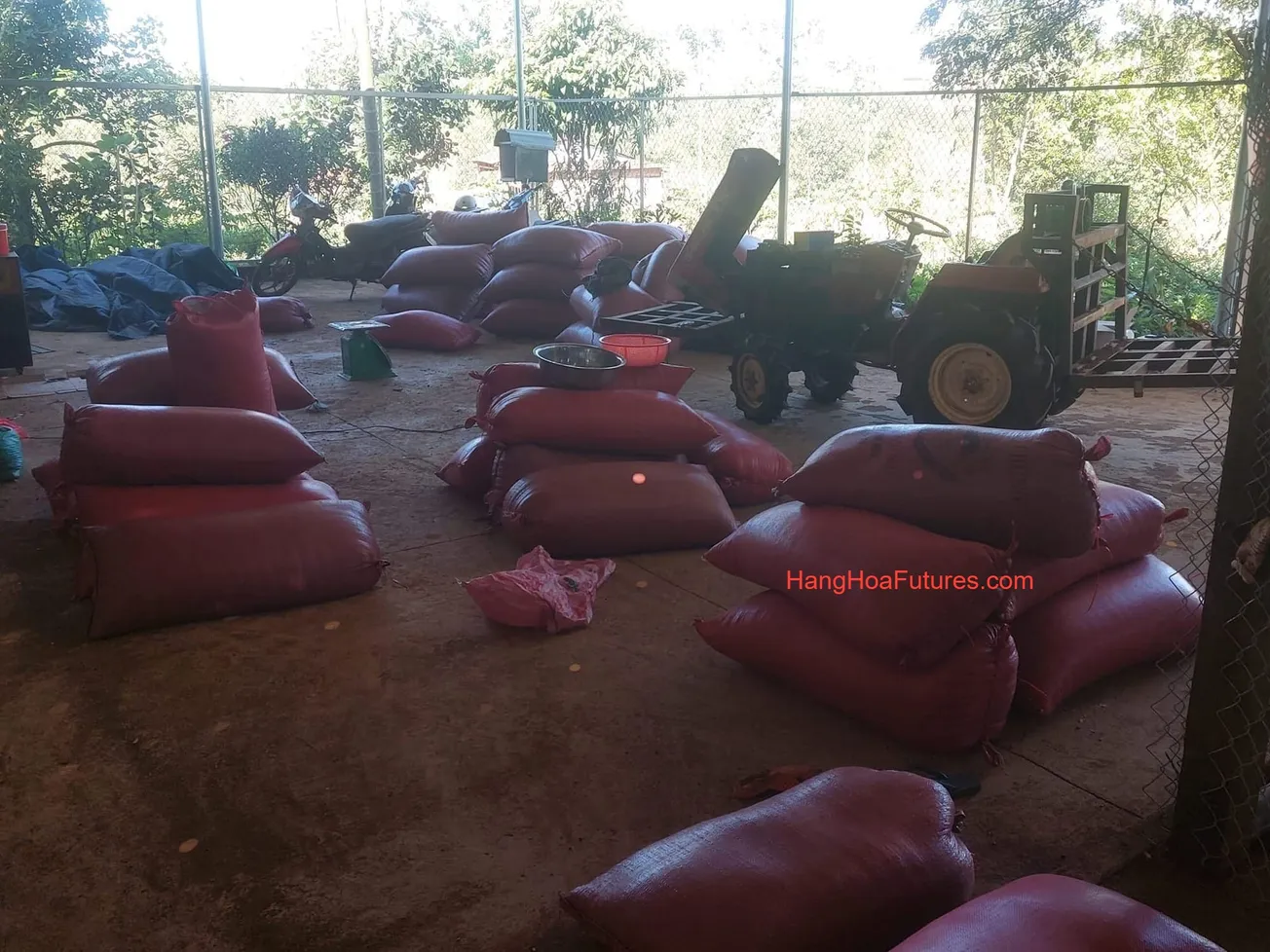 [Thị trường: Cà phê - Đường - Ca cao] -  Cà phê và Đường giảm giá; Cacao cũng giảm từ đỉnh cao kỷ lục