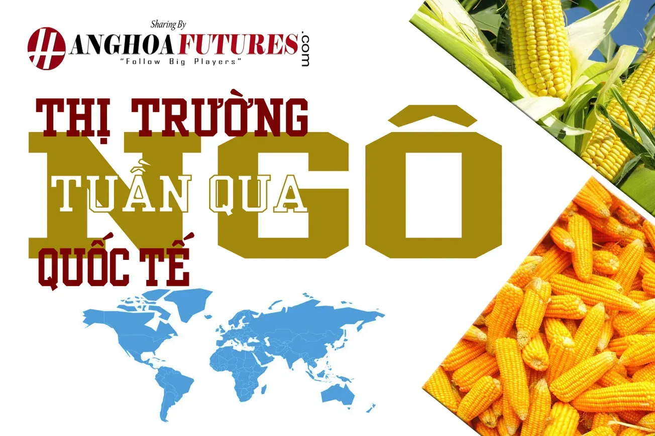 Thị trường Ngô Quốc tế Tuần qua (11/02-15/02/2025)
