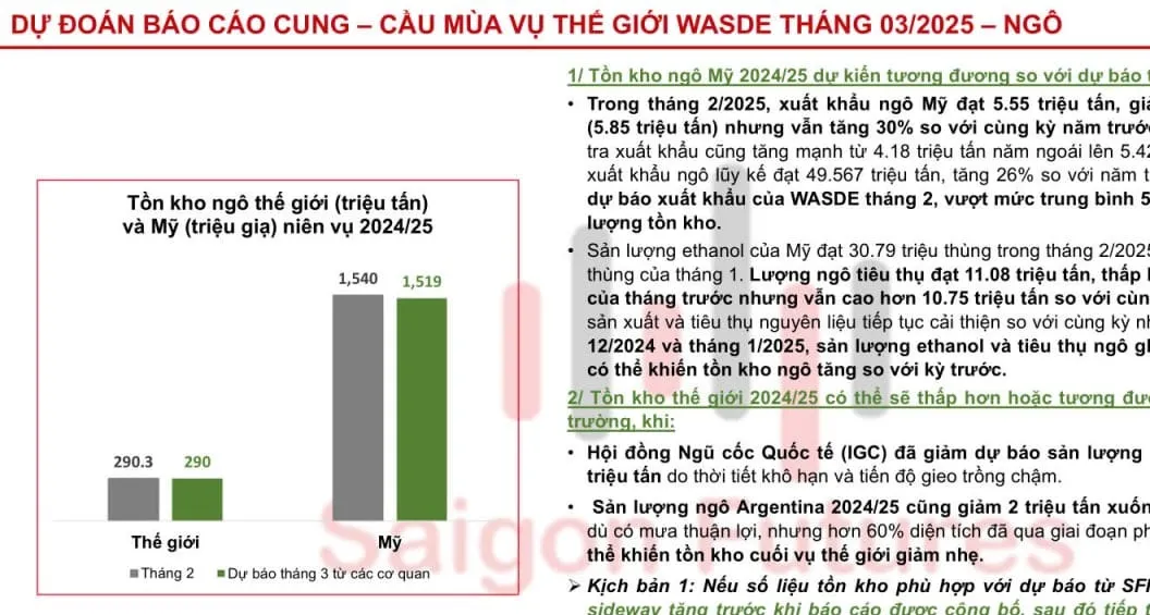 Đánh giá trước - Báo cáo Ước tính Cung cầu Nông sản Thế giới (WASDE) tháng 03.2025