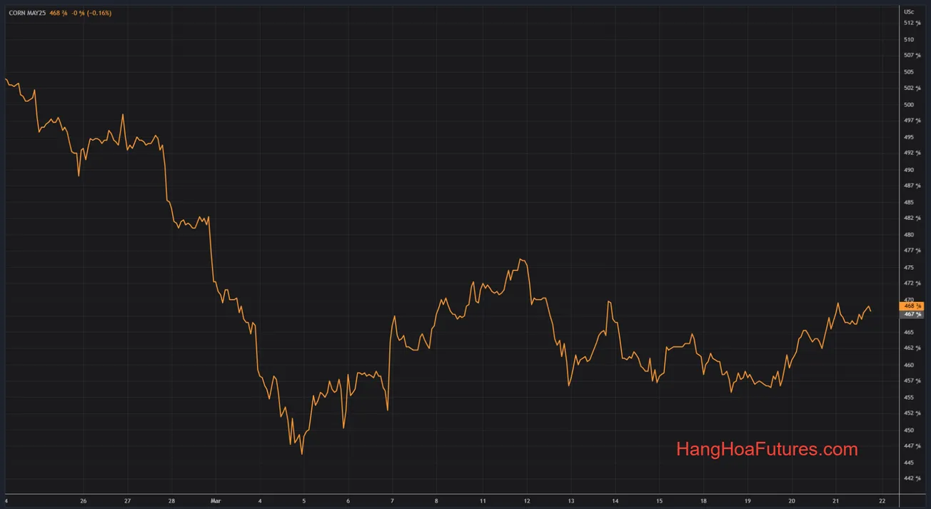 Cập nhật CBOT - Lúa mì đi ngang hoặc tăng nhẹ (02 cent), ngô và đậu tương giảm nhẹ (02 cent)