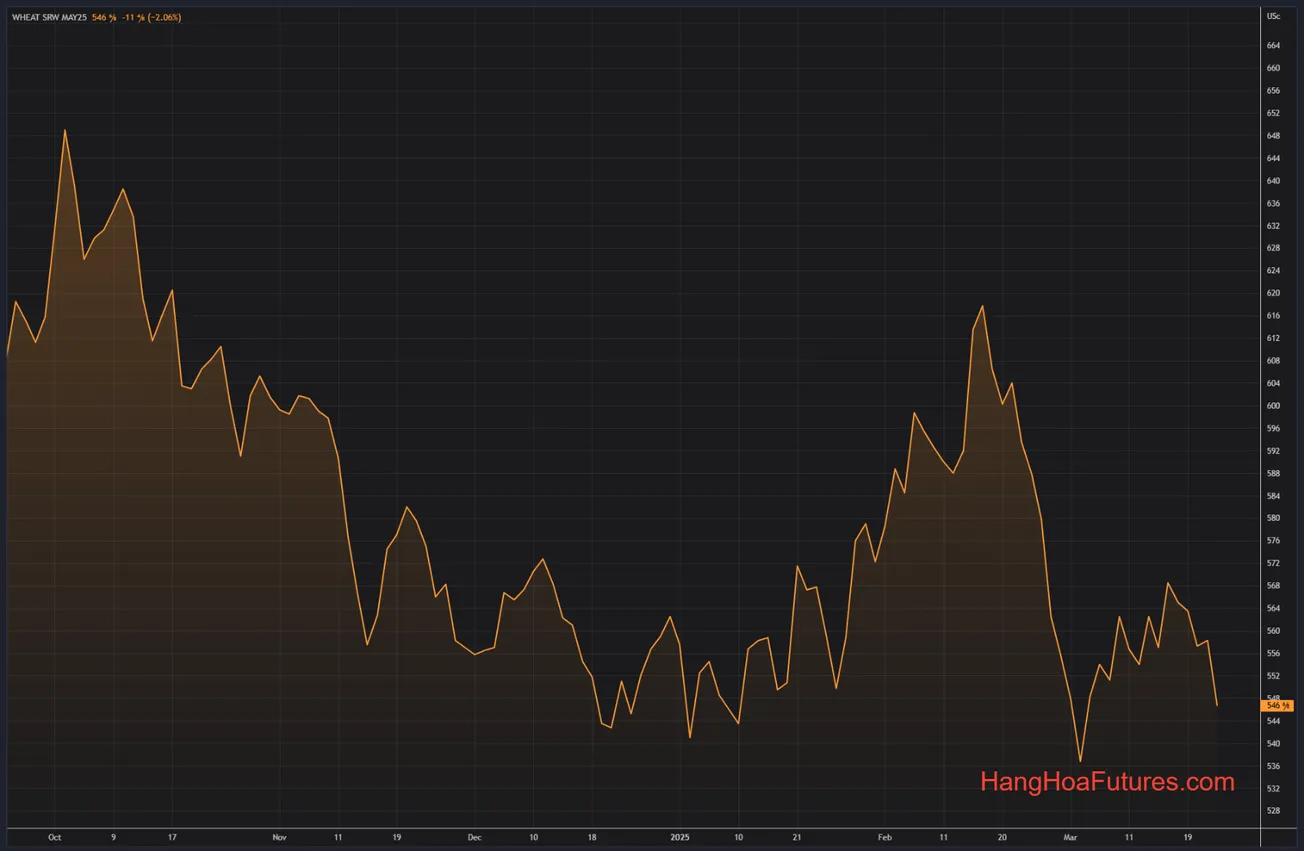 Cập nhật CBOT - Lúa mì giảm 6-7 cent, ngô giảm 1-2 cent, đậu tương giảm 2-3 cent