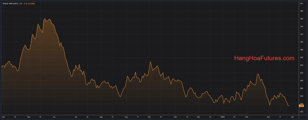 Cập nhật CBOT - Giá lúa mì, ngô biến động từ giảm 1 cent đến tăng 1 cent, giá đậu tương tăng 6-7 cent