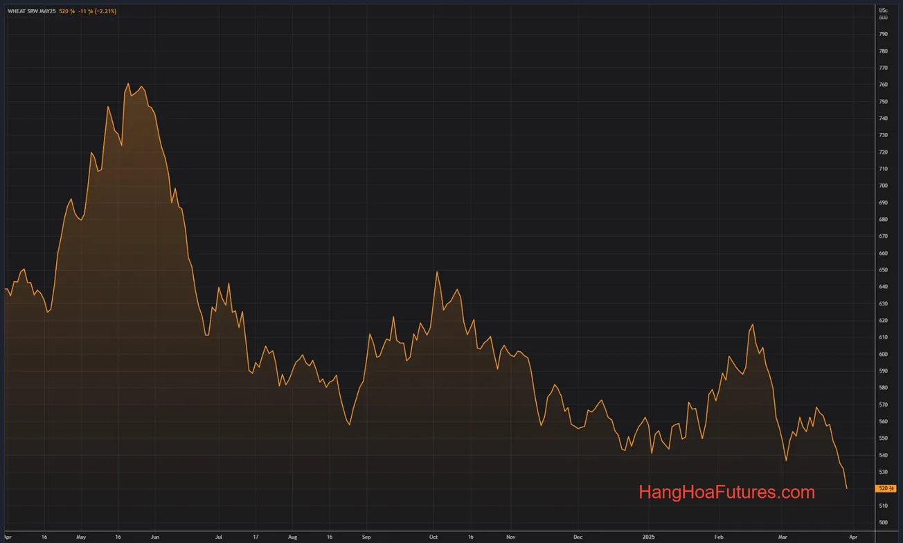 Cập nhật CBOT - Lúa mì giảm 8-9 cent, ngô giảm 3-4 cent, đậu tương giảm 2-3 cent