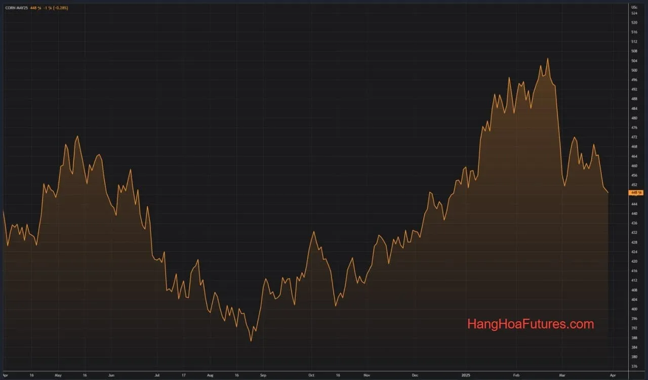 CBOT - Ngô đối mặt với tuần giảm giá lớn trước báo cáo trồng trọt của Mỹ