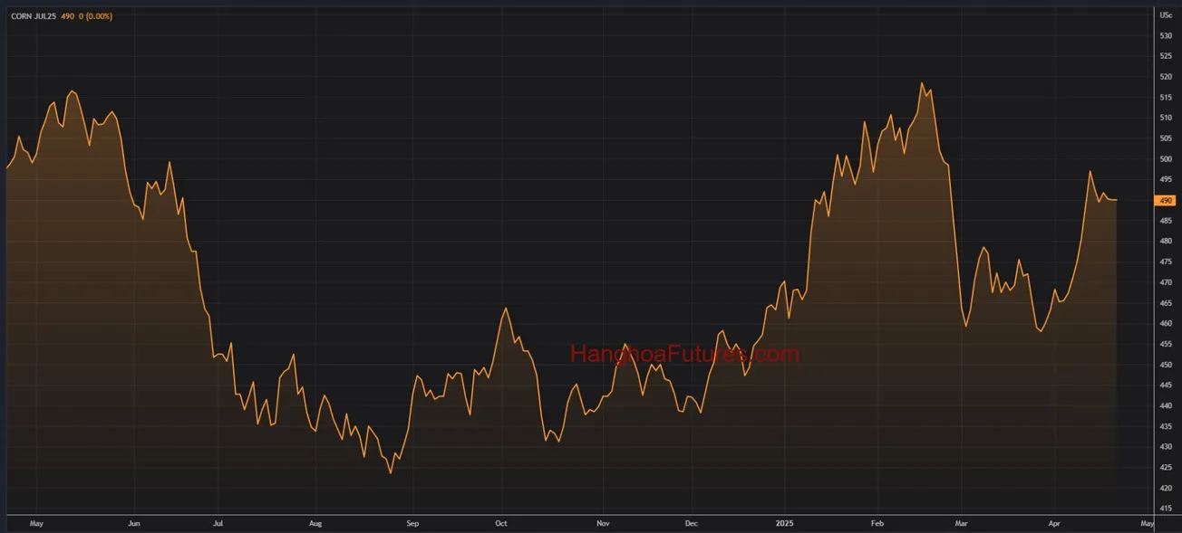 Diễn biến Giá Ngô trên sàn CBOT trong khoảng 01 năm (Từ ngày 22/04/2024 đến ngày 22/04/2025); Khung thời gian Ngày, Daily