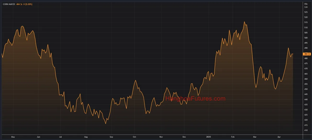 Diễn biến GiáNgô trên sàn CBOT trong khoảng 01 năm (Từ ngày 17/04/2024 đến ngày 17/04/2025); Khung thời gian Ngày, Daily