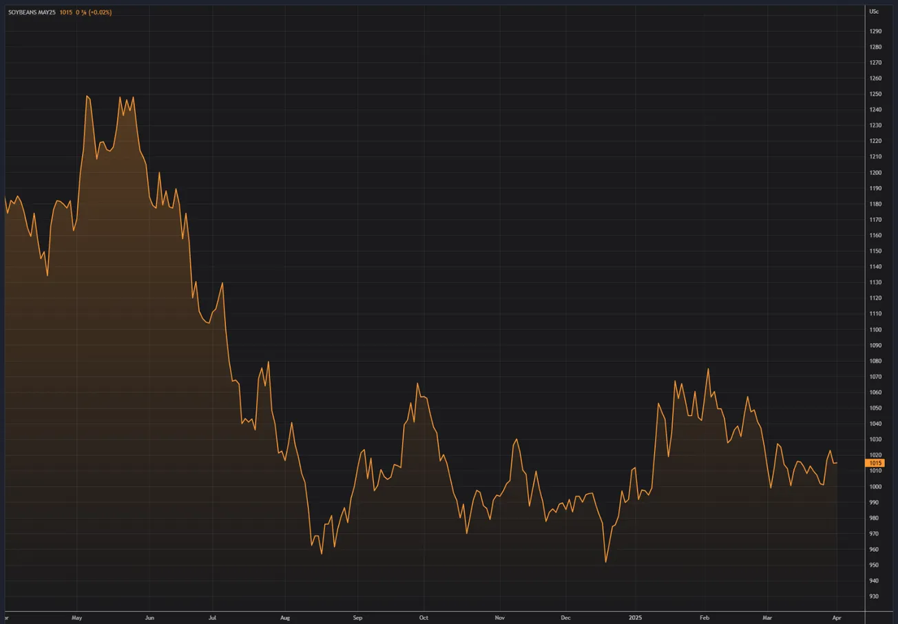Đậu tương CBOT - Hợp Đồng Tương Lai Đậu Tương Giảm Do Báo Cáo Dự Trữ và Diện Tích Gieo Trồng Từ USDA
