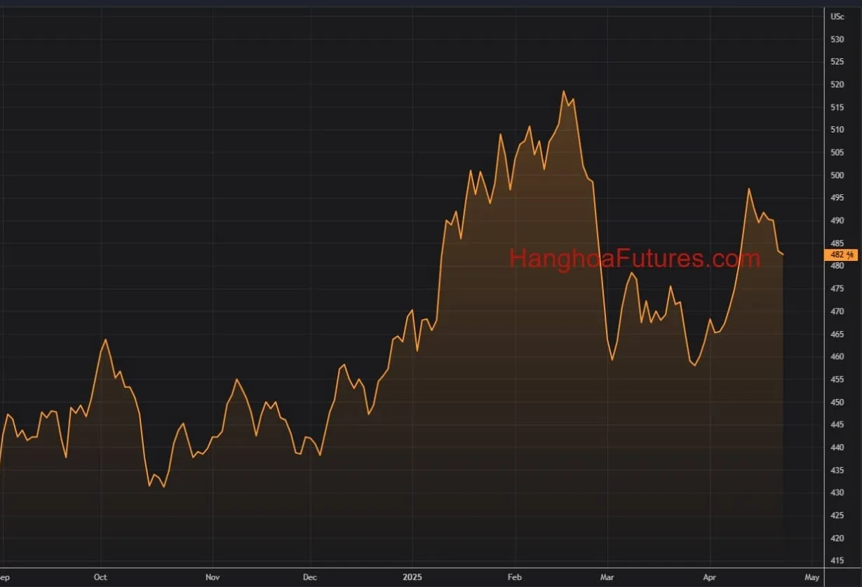 Diễn biến Giá Ngô trên sàn CBOT trong khoảng 01 năm (Từ ngày 23/04/2024 đến ngày 23/04/2025); Khung thời gian Ngày, Daily