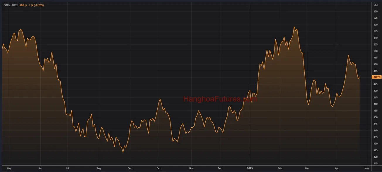 Diễn biến Ngô trên sàn CBOT trong khoảng 01 năm (Từ ngày 24/04/2024 đến ngày 24/04/2025); Khung thời gian Ngày, Daily