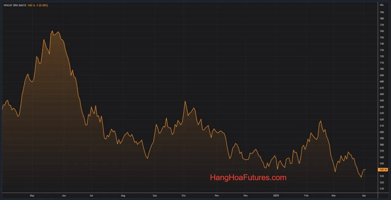 Lúa mì CBOT - tăng giá nhờ dữ liệu diện tích gieo trồng của USDA