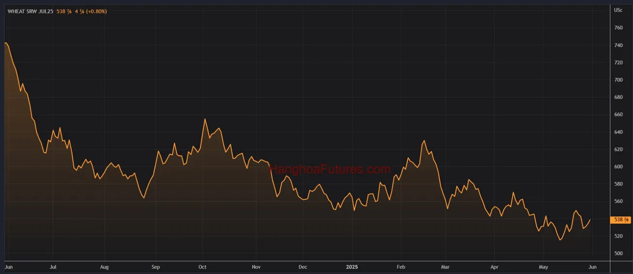 Diễn biến Giá Lúa Mì trên sàn CBOT trong khoảng 01 năm (Từ ngày 30/05/2024 đến ngày 30/05/2025); Khung thời gian Ngày, Daily